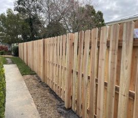 Photo Galleries From Seffner Photo Galleries From Seffner